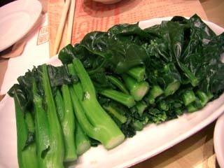 090207_tocho7.jpg