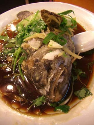 090208_fish.jpg