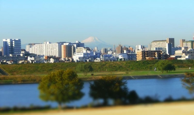 CIMG2605_s.jpg