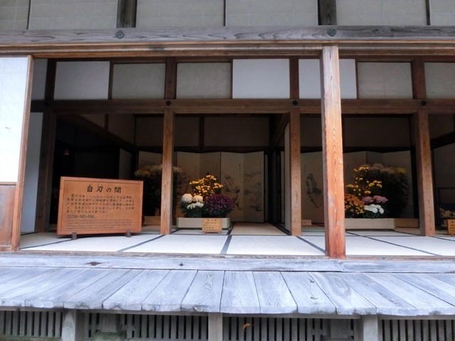 CIMG2840_a.jpg