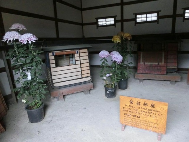 CIMG2868_s.jpg