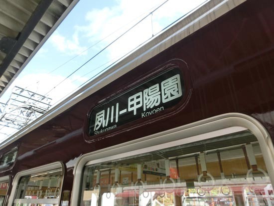 CIMG3227_s.jpg