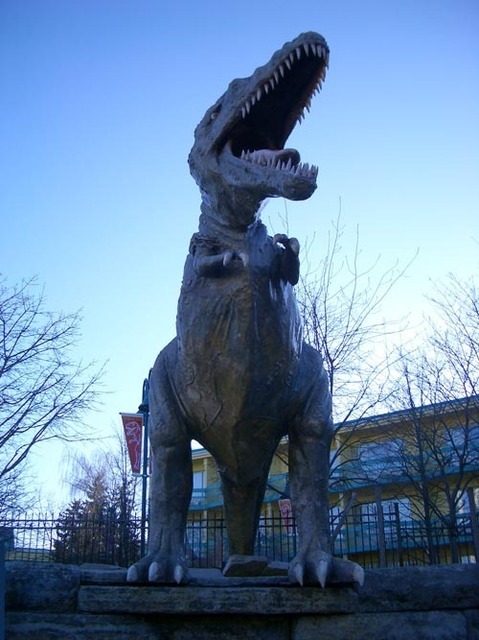 CIMG3710_s.jpg