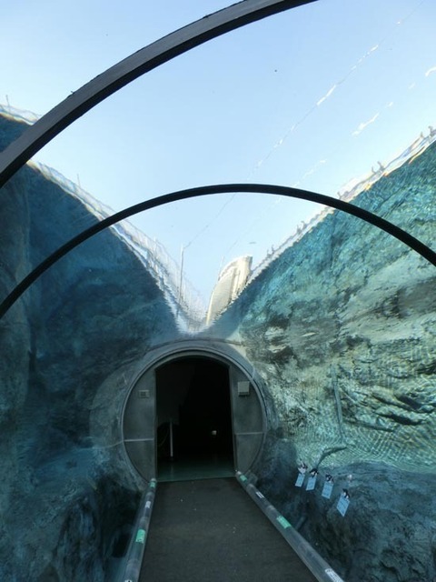 CIMG3910_s.jpg