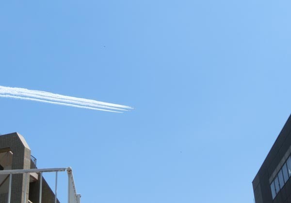 CIMG53621_s.jpg