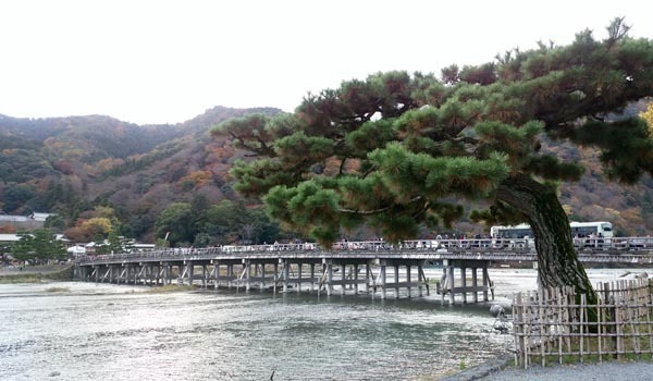 DSC_2020_s.jpg