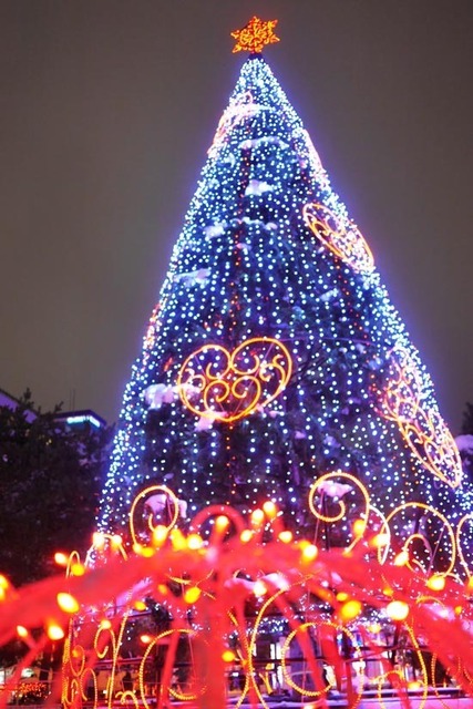 IMG_2457_s.jpg