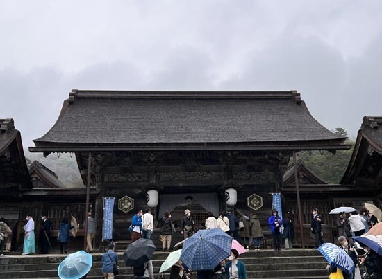 IMG_5606_s.jpg
