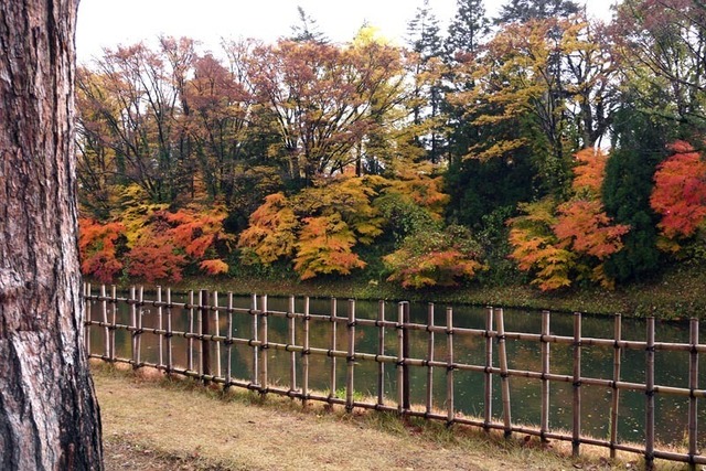 P1090475_s.jpg
