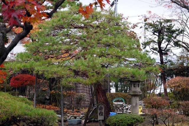 P1090626_s.jpg