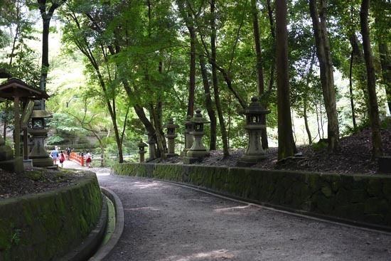 P1150429_s.jpg