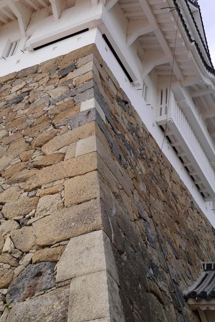 P1210788_s.jpg