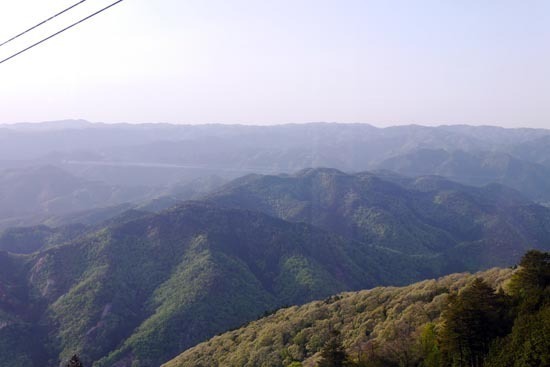P1210988_s.jpg