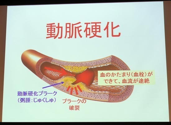 P1270079_s.jpg