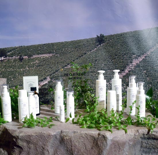 P1300988_s.jpg
