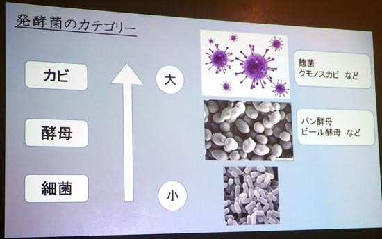 P1340706_s.jpg