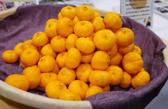P1360173_s.jpg