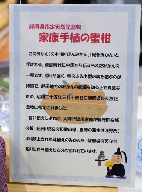 P1360176_s.jpg
