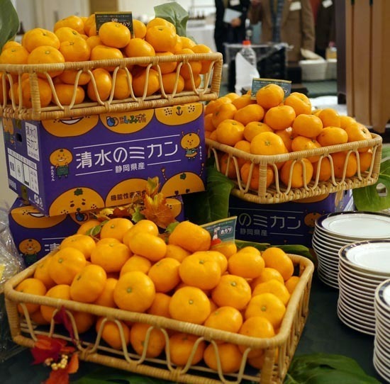 P1360194_s.jpg