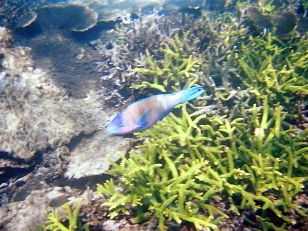 RIMG0471_s.jpg