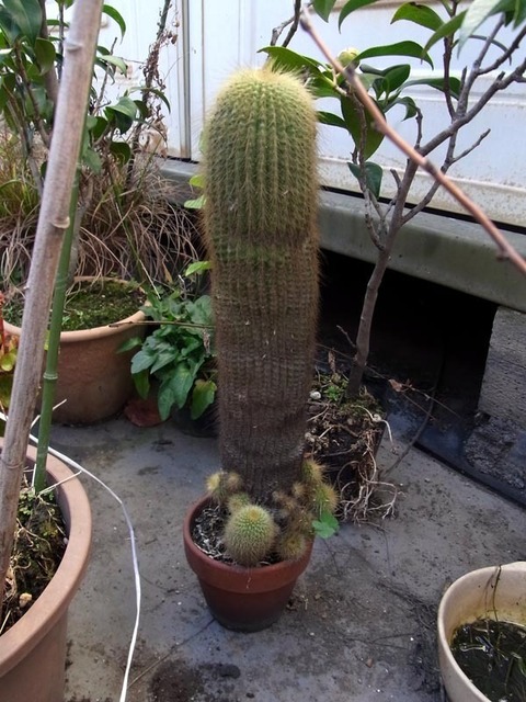 RIMG2567_s.jpg