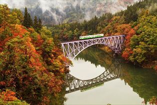 autumn.jpg