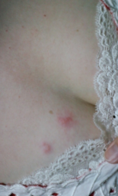 100806_2034~01.jpg
