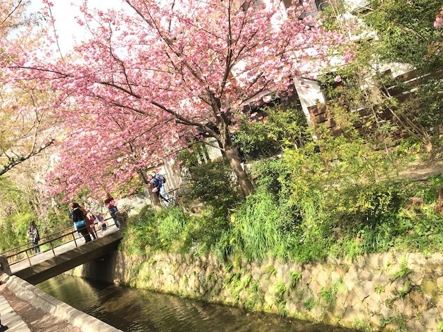 2018-04-08T17:30:09.JPG