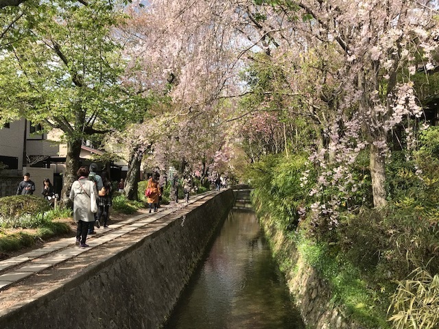 2018-04-08T17:30:09.JPG