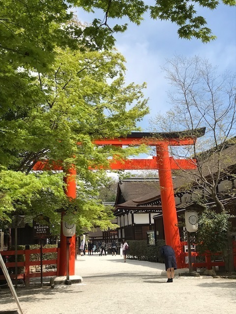 2018-04-08T17:40:03.JPG